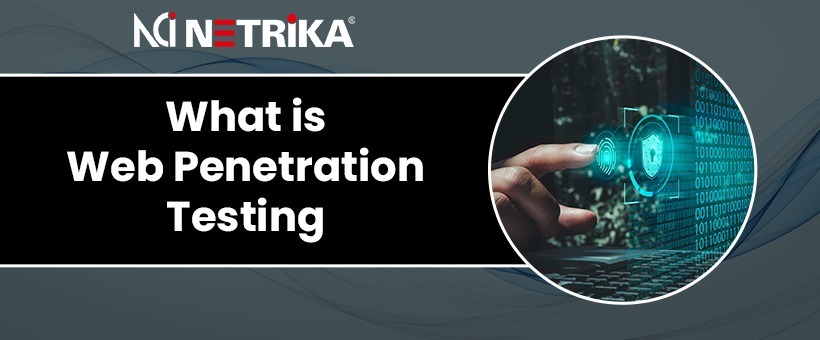 What is Web Penetration Testing